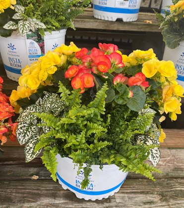 Marketing Plants for Outdoor Decorators